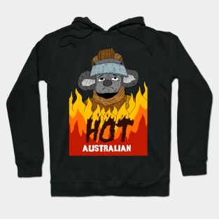 australia is burning, climate change and bush fires. Hoodie